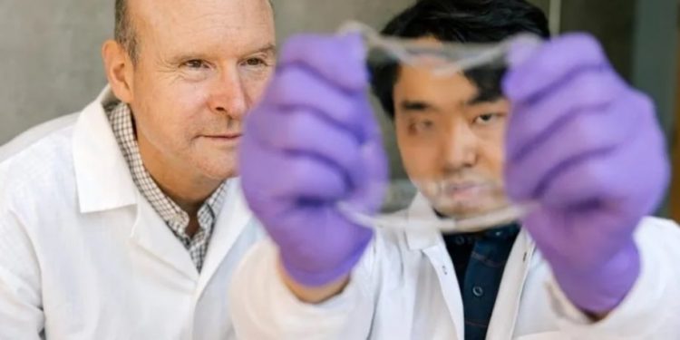 Ученые создали новый вид искусственной кожи