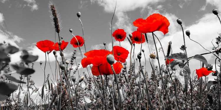 8 мая – День памяти и примирения