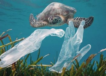 Ученые изобрели расщепление пластика за дни