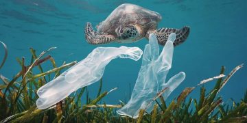 Ученые изобрели расщепление пластика за дни