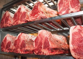 В лаборатории вырастили первую говяжью вырезку