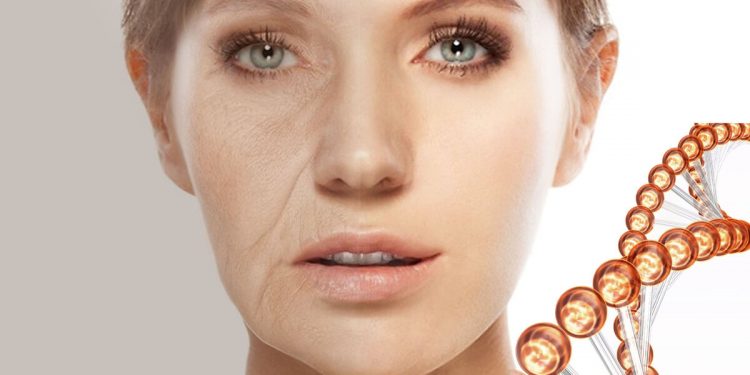 Морское существо, которое быстро омолаживает организм