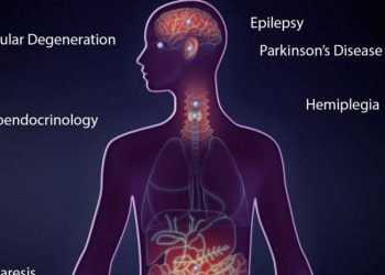 Импланты, которые смогут работать десятки лет