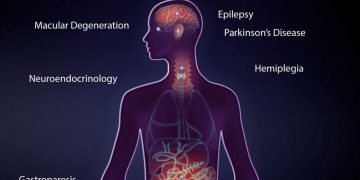 Импланты, которые смогут работать десятки лет