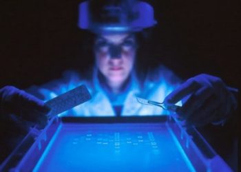 Редактирование генов может избавлять людей от алкоголизма