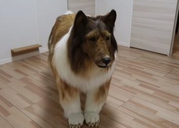 Японец превратил себя в собаку