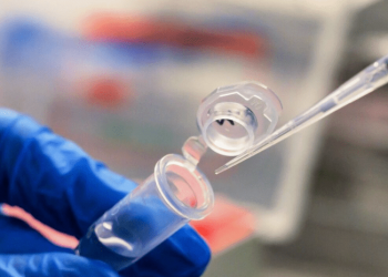 Эпидемия оспы обезьян в Украине