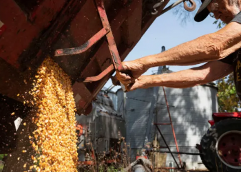 Как заработать на глобальном росте цен