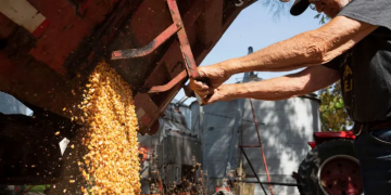 Как заработать на глобальном росте цен