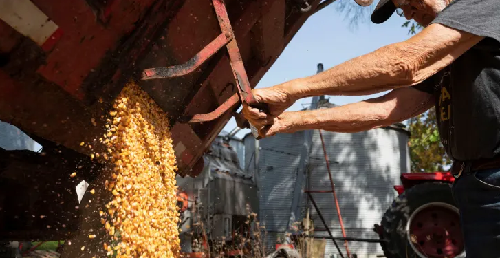 Как заработать на глобальном росте цен