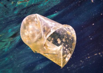 Открыт новый способ переработки пластика