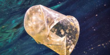 Открыт новый способ переработки пластика