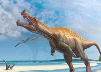 Какими на самом деле были динозавры