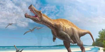 Какими на самом деле были динозавры