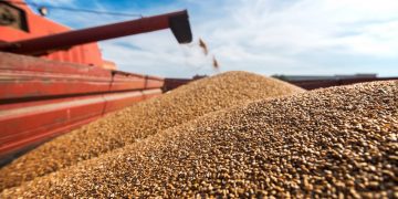 Россия грузит корабли краденным зерном