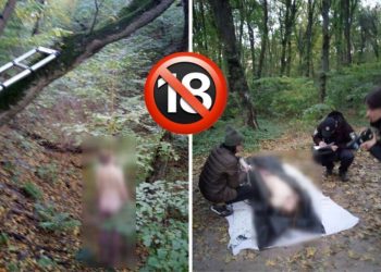 Жуткие кадры с освобожденных территорий