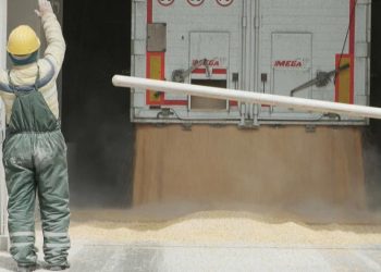 Украинские фермеры экспортируют урожай через Румынию