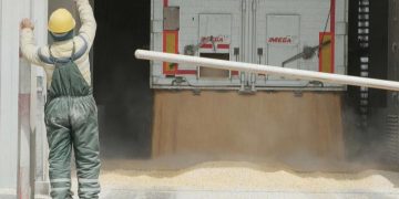 Украинские фермеры экспортируют урожай через Румынию