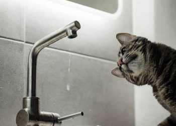 В Киеве начинают отключать горячую воду