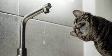 В Киеве начинают отключать горячую воду