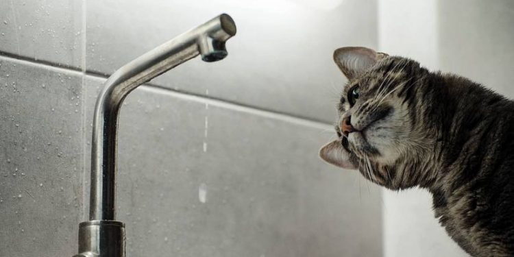 В Киеве начинают отключать горячую воду