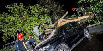 Ликвидация последствий непогоды в столице