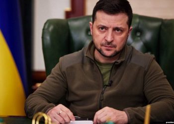 Зеленский ответил на направленную к нему петицию