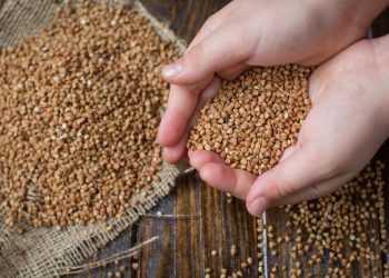 Цена на гречку вырастет до 100 гривен