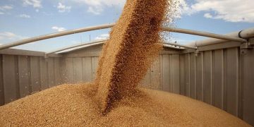 Что можно сделать с заблокированным зерном