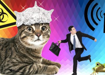 Люди больше склонны верить популярной лжи