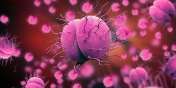 В Австрии обнаружен новый штамм супергонореи