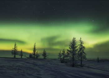 Сибирская тундра вскоре исчезнет