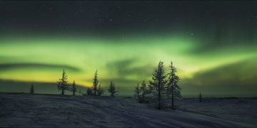 Сибирская тундра вскоре исчезнет