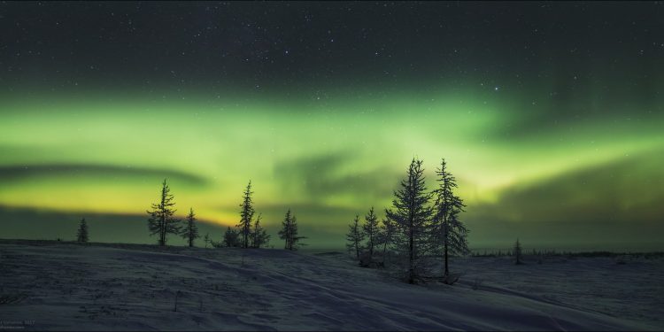 Сибирская тундра вскоре исчезнет