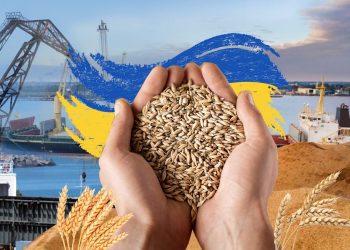 Украина экспортирует зерно через Румынию и Польшу