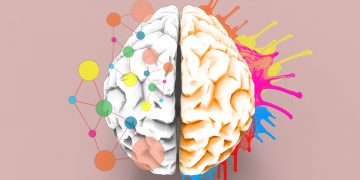 Мозг человека может “учится” самостоятельно