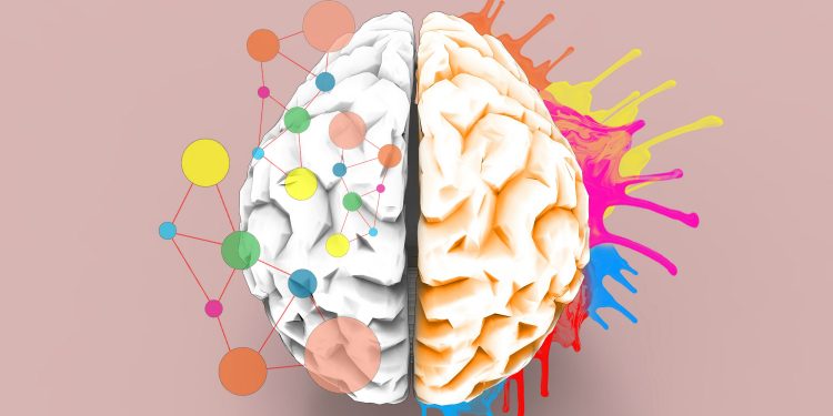 Мозг человека может “учится” самостоятельно