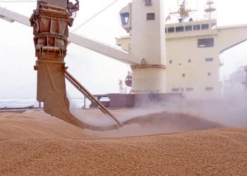 Турция покупает у России краденое зерно