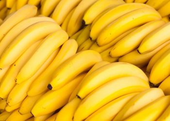 Партия кокаина под видом бананов попала в супермаркет