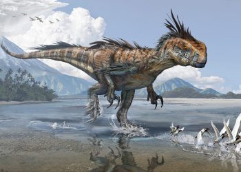 Обнаружены останки крупнейшего наземного хищника