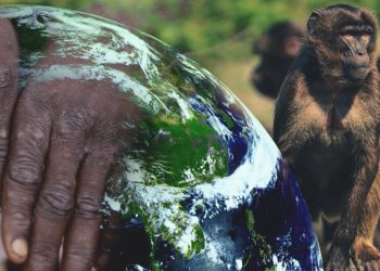 В Польше подтвердили первый случай обезьяньей оспы