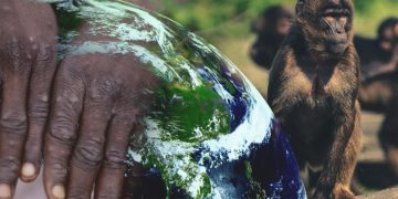 В Польше подтвердили первый случай обезьяньей оспы