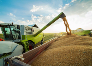 США обещает решить проблему украинского зерна