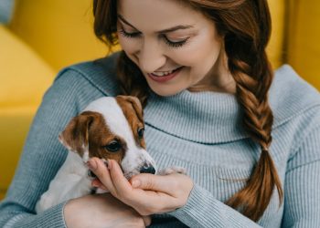 Почему собаки стали лучшими друзьями людей
