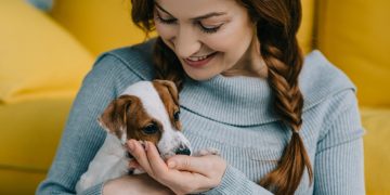 Почему собаки стали лучшими друзьями людей