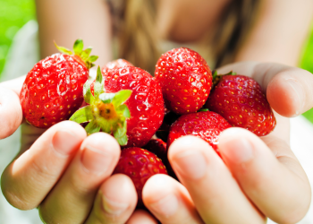 Топ-3 простых клубничных рецепта