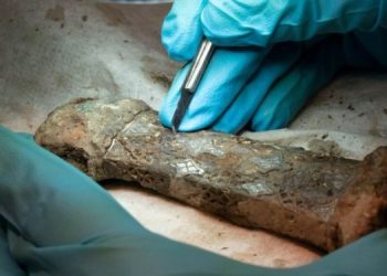 Ученые нашли редкий меч викингов