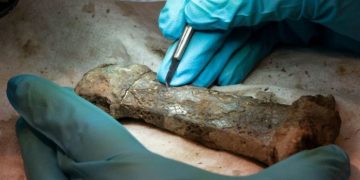 Ученые нашли редкий меч викингов