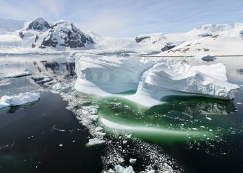 В Антарктиде под слоем льда обнаружили “скрытый мир”