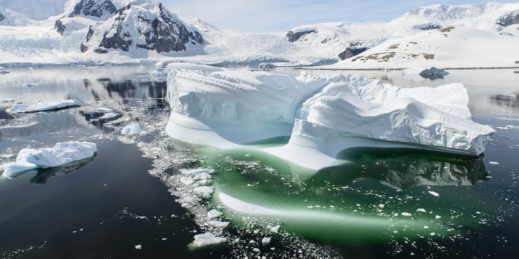 В Антарктиде под слоем льда обнаружили “скрытый мир”